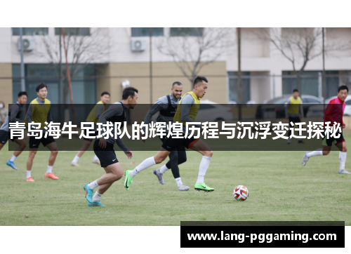 青岛海牛足球队的辉煌历程与沉浮变迁探秘