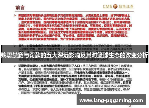 魏震禁赛与罚款的五大深远影响及其对篮球生态的改变分析