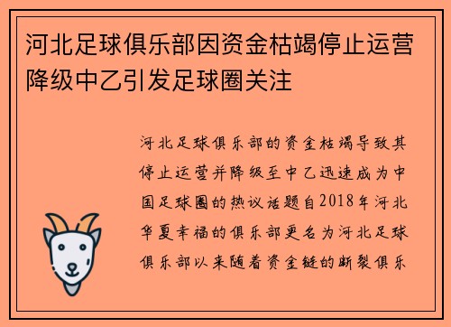 河北足球俱乐部因资金枯竭停止运营降级中乙引发足球圈关注