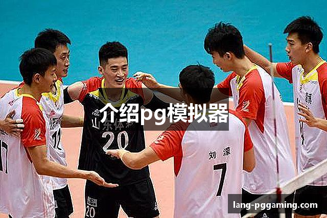 介绍pg模拟器